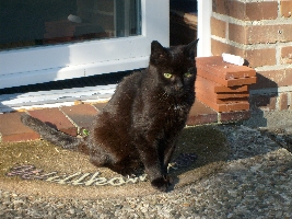 Him one time outside! Unbelievable but it's true!